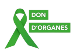logo/logo-don_dorgane.png